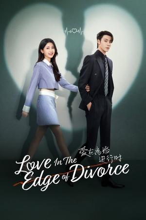 Love in the Edge of Divorce izle