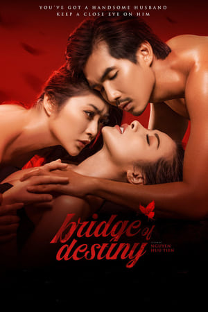 Bridge of Destiny izle