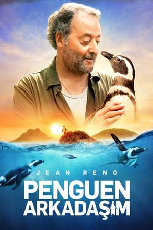 Penguen Arkadaşım izle