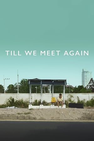 Till We Meet Again izle